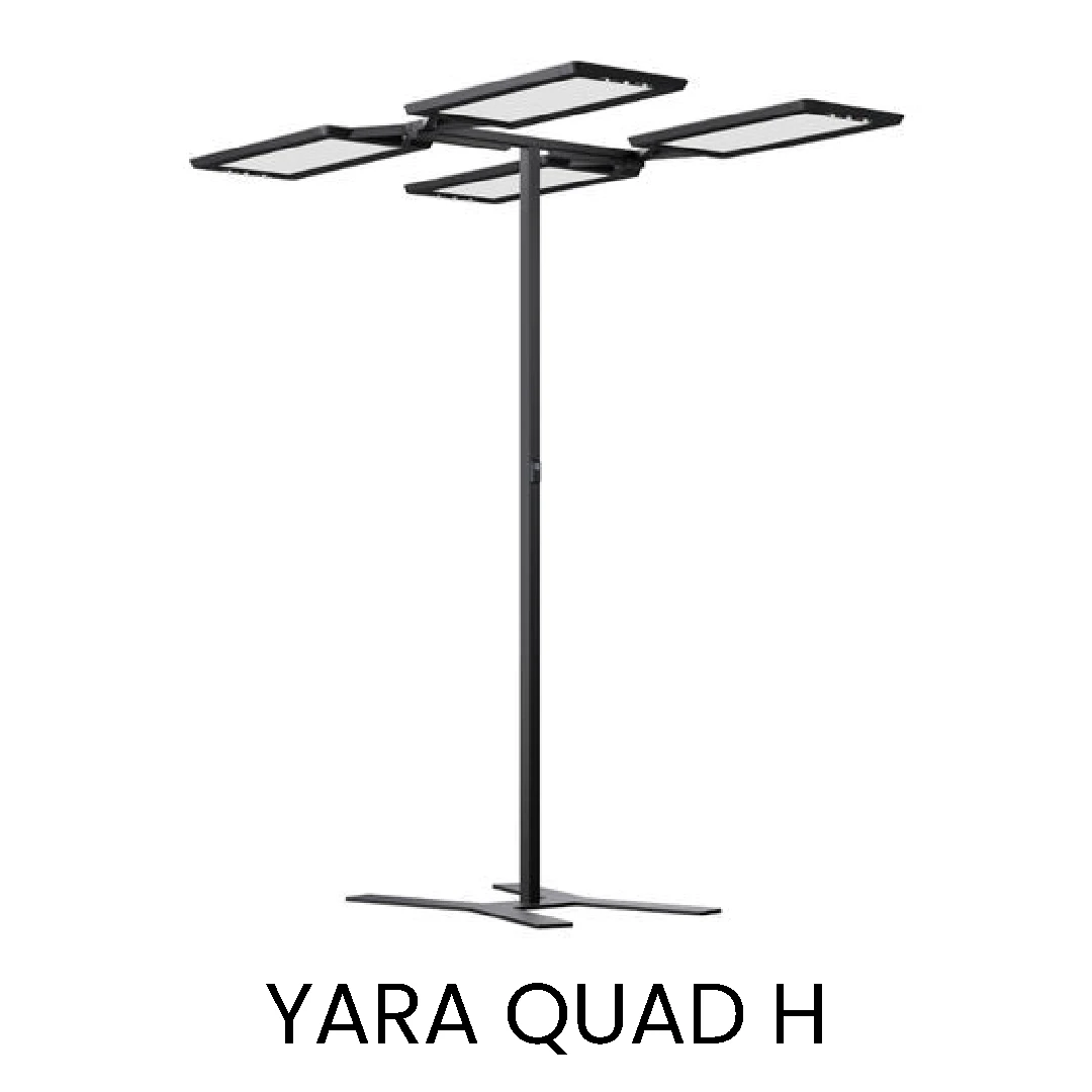 YARA.single 3