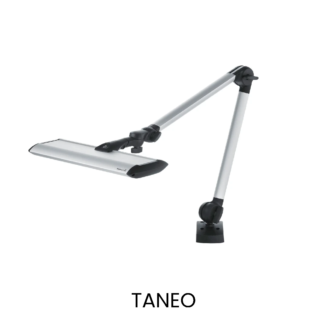 TANEO 1