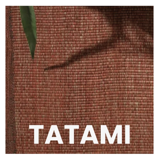TATAMI 1