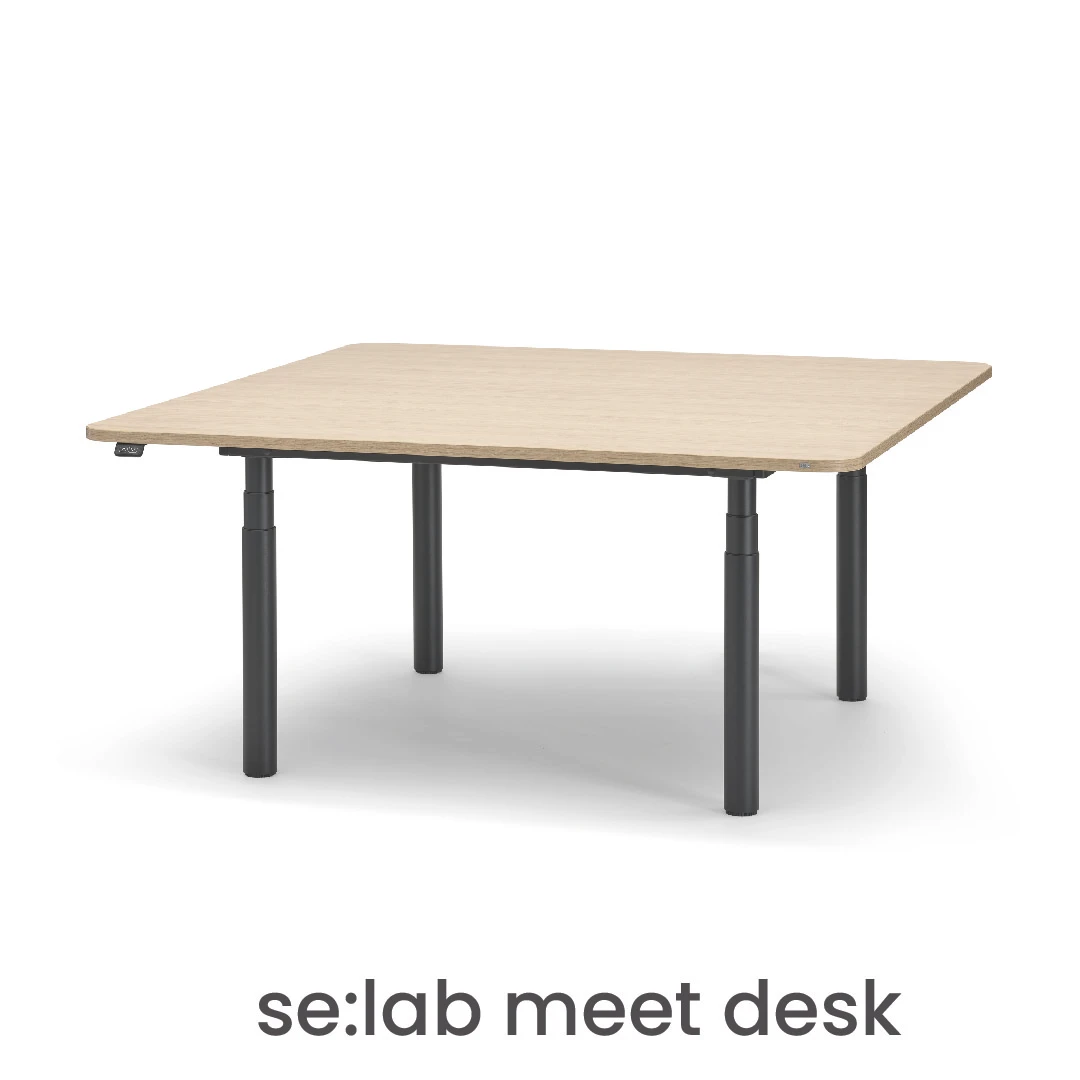 se:lab meet desk 1