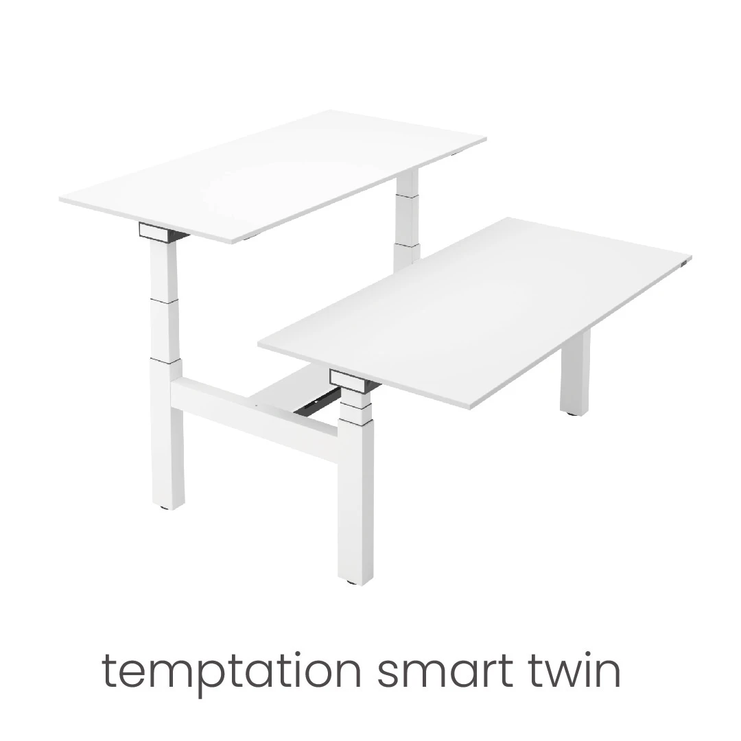 temptation smart twin 1