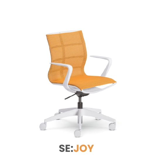 se:joy 1