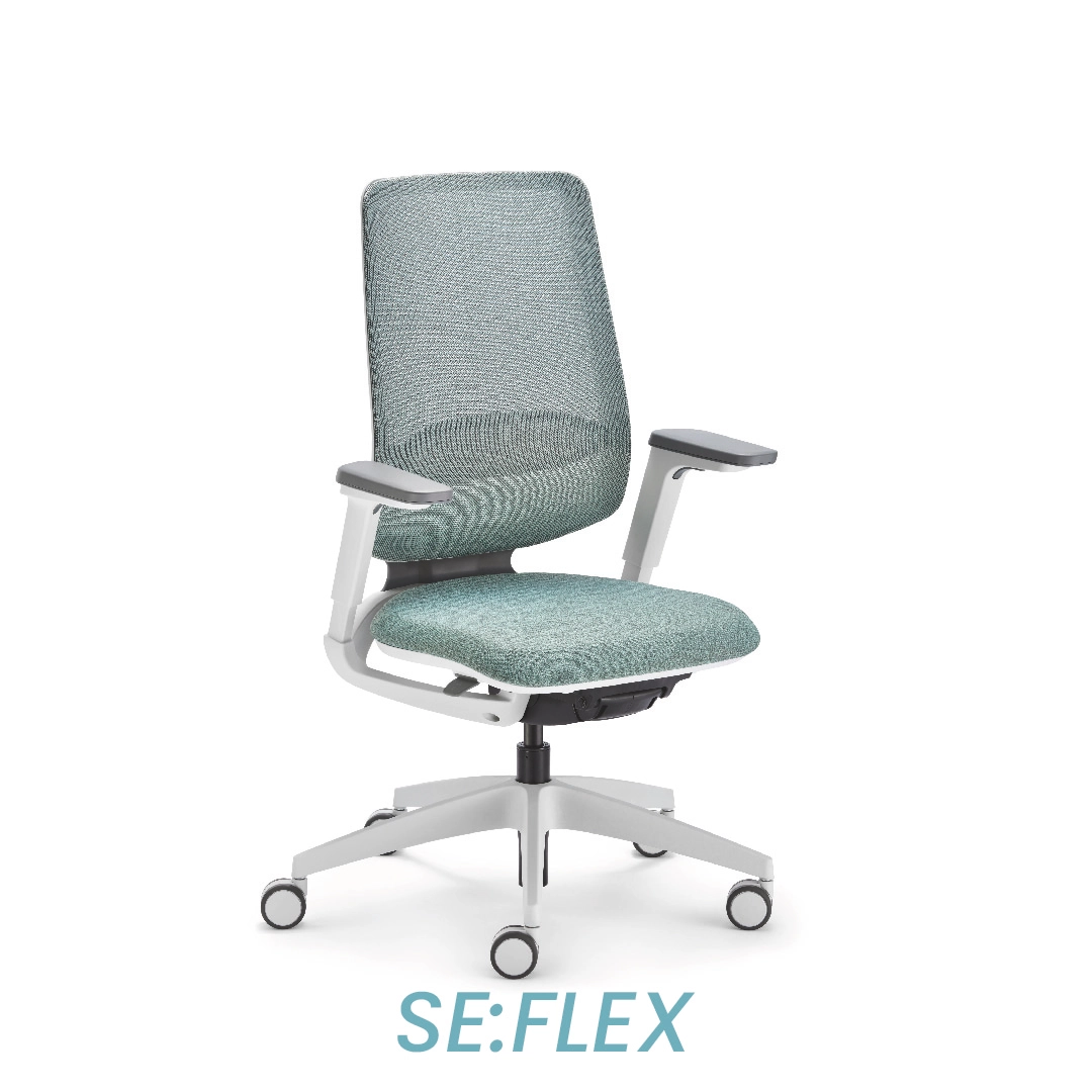 se:flex 1